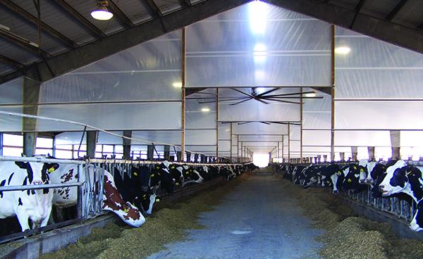 Griffolyn_Barn Curtain_Gallery_03.jpg