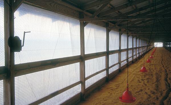 Griffolyn_Poultry20Curtain_Gallery_04.jpg