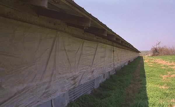 Griffolyn_Poultry20Curtain_Gallery_05.jpg