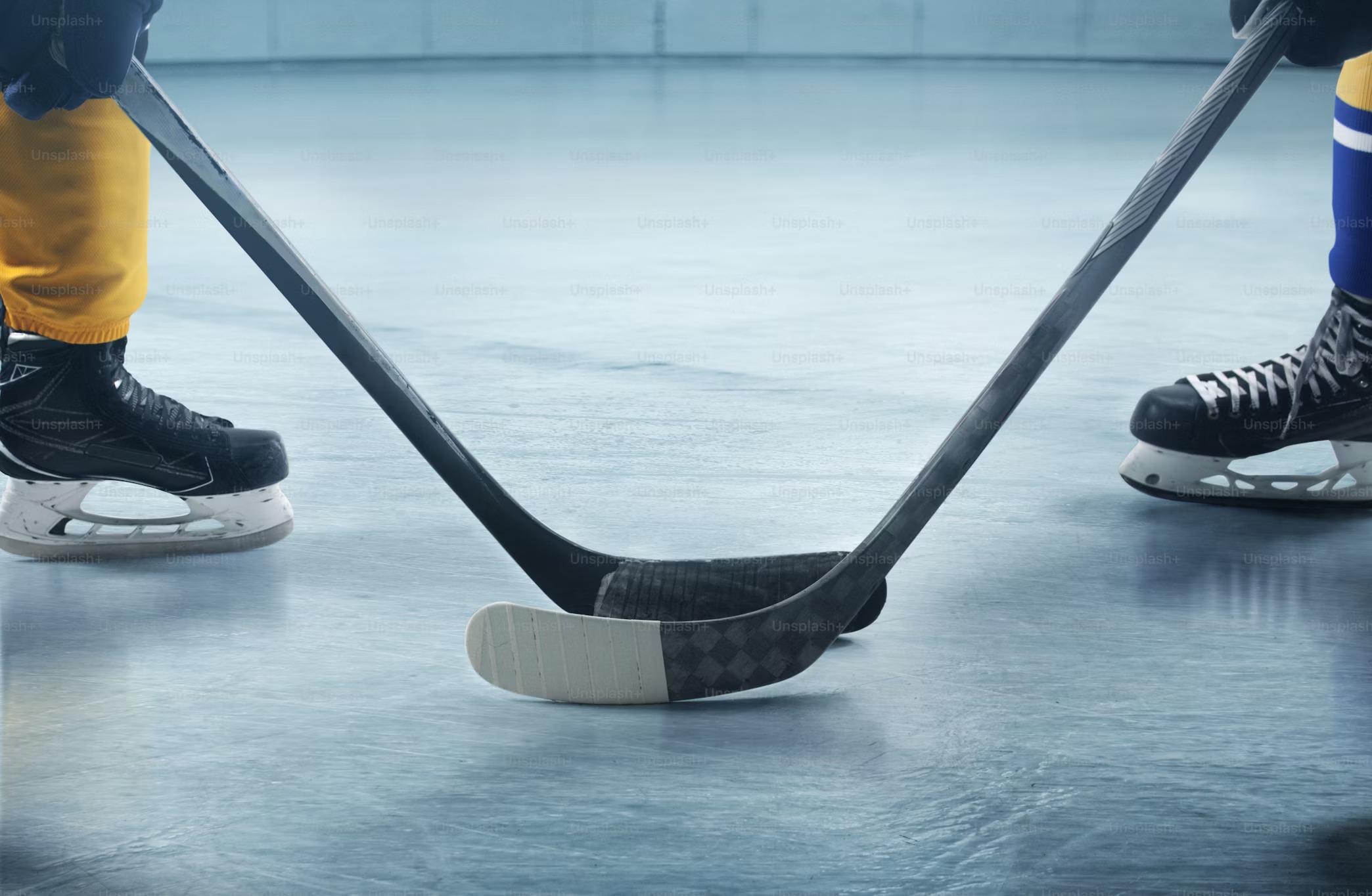 Ice Rink Tarps and Covers