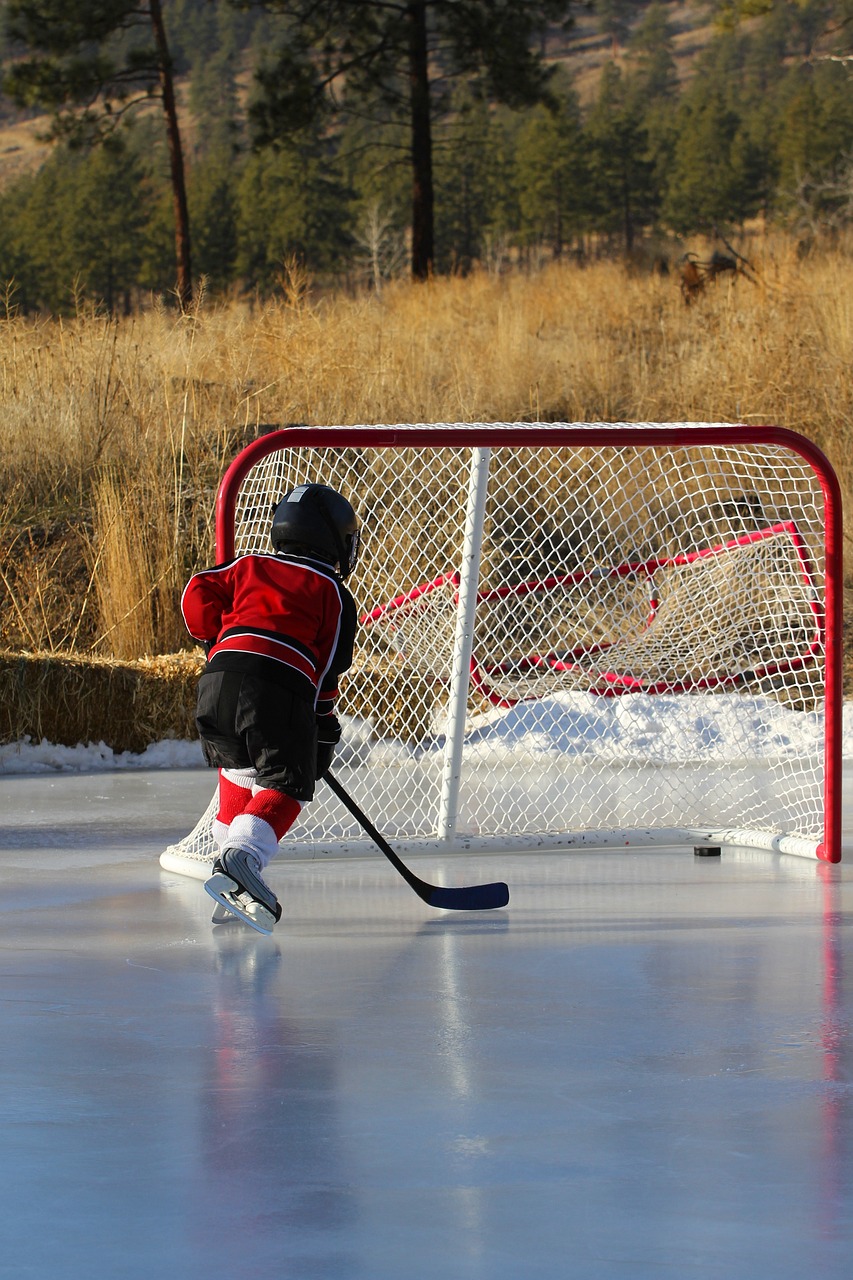 Ice Rink Linkers and Tarps
