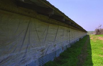 Barn Curtains