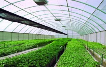 Agriculture Covers