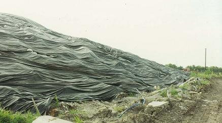 img-contaminated_soil-2.jpg