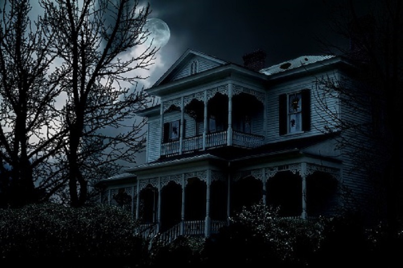 Griffolyn® TX-1200 FR UV for Haunted Houses